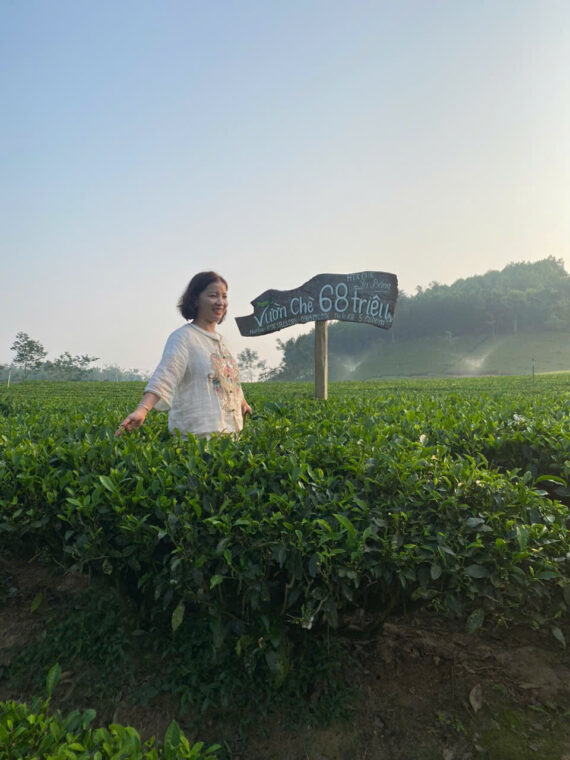 Trà Xanh Thái Nguyên Hùng Thái 100% Chè Búp Sao Khô Tốt Cho Sức Khỏe Ngăn Ngừa Ung Thư