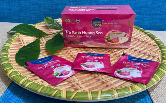 Trà Xanh Hương Sen Túi Lọc Hùng Thái Đặc Sản Thái Nguyên