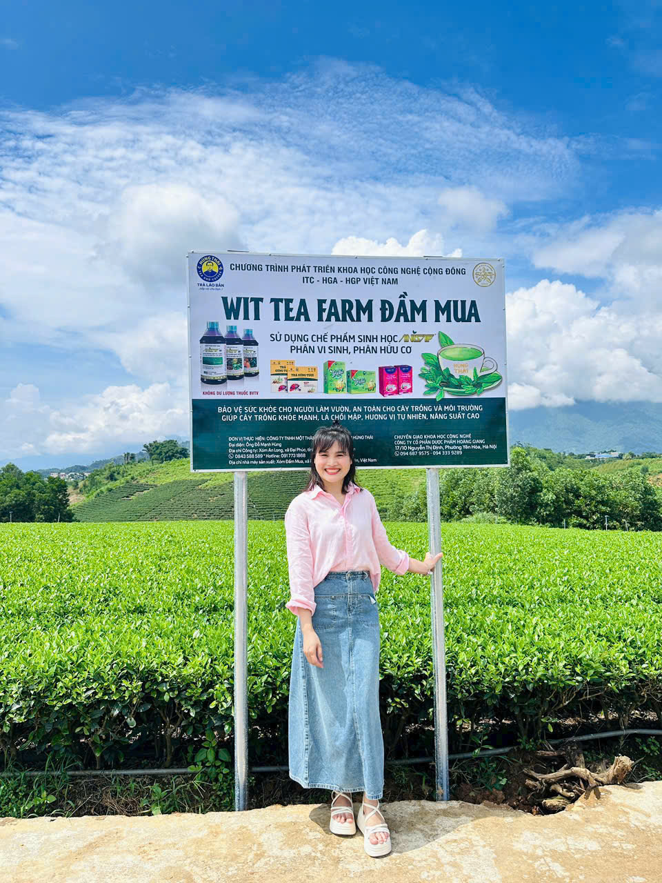 🌿 WIT TEA FARM ĐẦM MUA – HÀNH TRÌNH TRÀ SẠCH TỪ TÂM 🌿